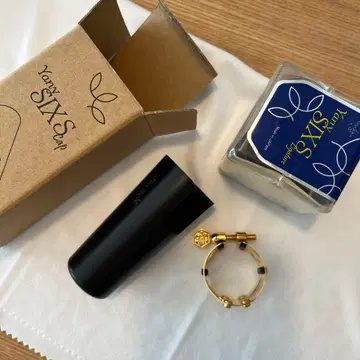 Yany SIXS 알토 색소폰 리가지