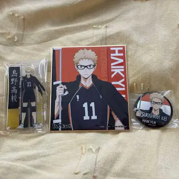 하이큐!! 등신대 배너 아크릴 스탠드 색지 츠키시마 케이