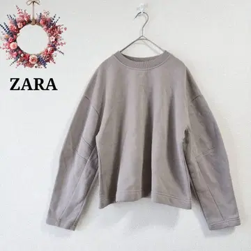 ZARA 자라 속기모 맨투맨 트레이닝복 숏 기장 그런지 Y2K S