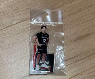 울프 도그스 나고야 미즈마치 타이토