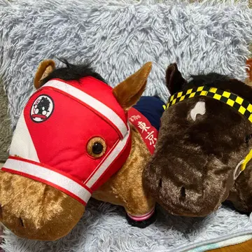 서러브레드 컬렉션 후와후와 BIG 부에나 비스타 & 포에버 영