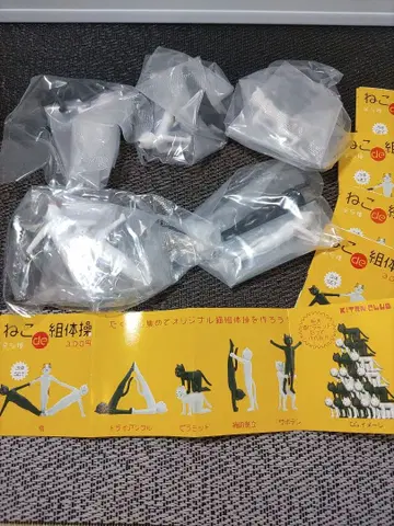 가챠 고양이de 조체조 풀컴프