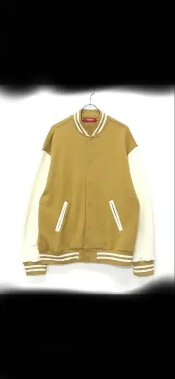 가면라이더 가브 쇼마 의상 바시티 자켓