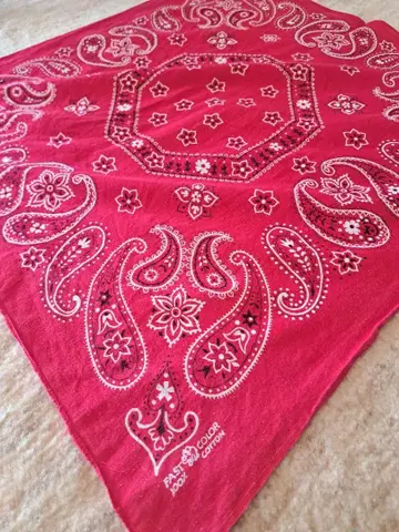 반다나 패스트 컬러 빨간색 FAST COLOR 트렁크 업 코끼리