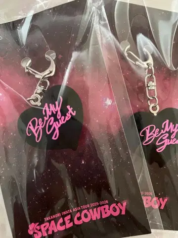 2개 이와타 타카노리 SPACE COWBOY TEAM G 하트 키링