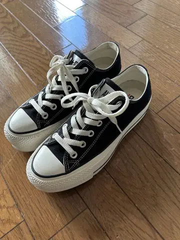 converse 24.5cm