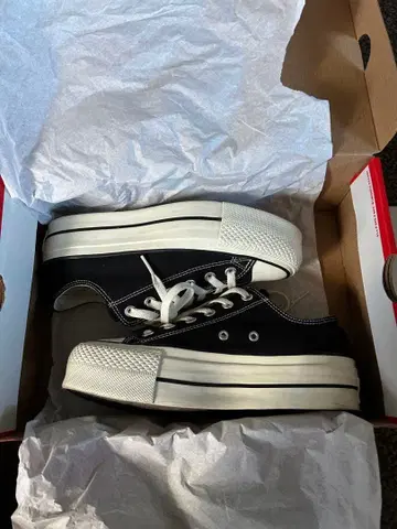 converse 24.5cm