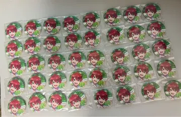 쟈파파 파라피치 캔뱃지 20개