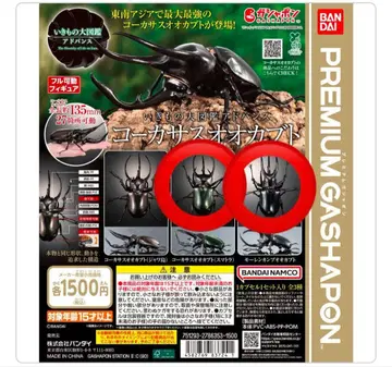 생물대도감 어드밴스 코카서스장수풍뎅이 2종