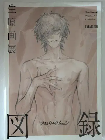 슬로우 데미지 도록