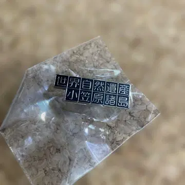 오가사와라 제도 핀 배지 실버