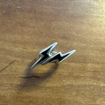 일렉트릭 코티지 반지