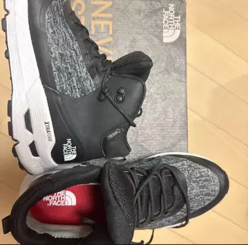 THE NORTH FACE GORE-TEX 신발