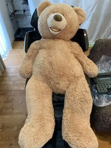 코스트코 곰 봉제 인형