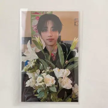 스키즈 한 HOP 트레이딩 카드 HMV 특전