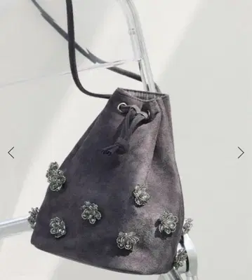 이에나 B. 비쥬 백