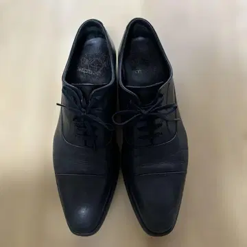 SHETLANDFOX 일본제 스트레이트 팁 블랙 6 1/2