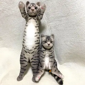 고양이 코라 봉제 인형/스와치 zoo/2개 세트/치즈 태비