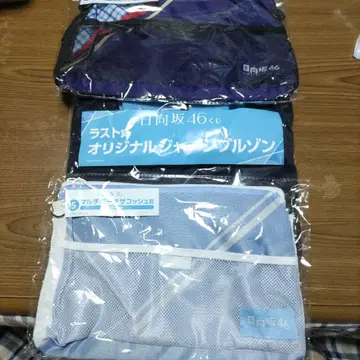 히나타자카46 체크 무늬 파우치 네이비