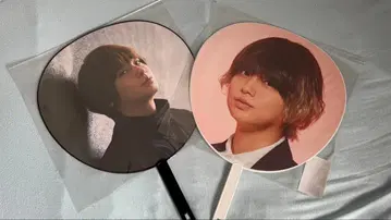 이노오 케이 부채 2종 세트