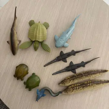 해양 생물 피규어 세트