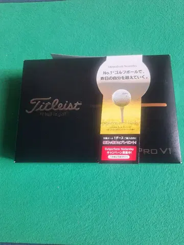 초특가 Titleist Pro V1 골프공 1더즌