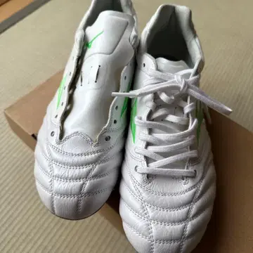 축구 스파이크 24.0cm 화이트/그린