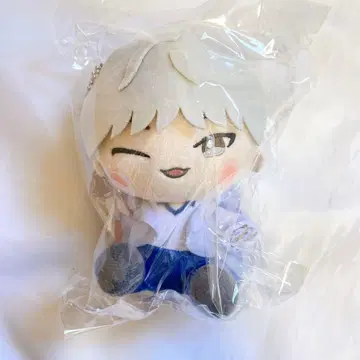 세븐틴 돈키 산리오 봉제 인형 키링 호시