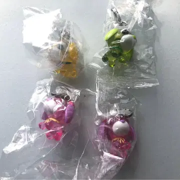 오챠이누 메지루시 액세서리 4점 세트