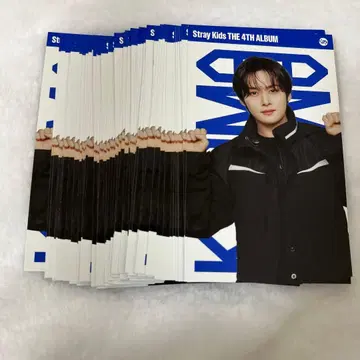 straykids karma 리노 60장