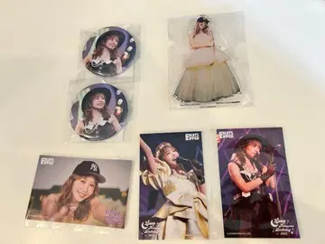 아이돌 아크릴 스탠드 사진 배지 세트