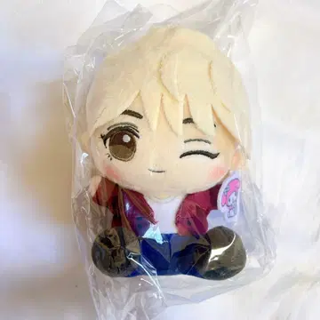 세븐틴 돈키 산리오 봉제 인형 키링 마이멜로디 정한