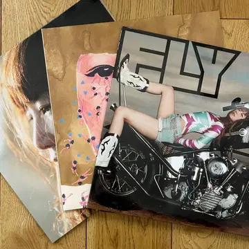 YUKI CD 3장 최초 한정판 특전 포함