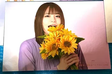 코히나타 미카 브로마이드 4장 세트 뱅드림 MyGO 나가사키 소요