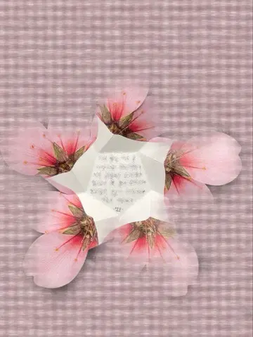 82MAJOR 성모 친필 편지