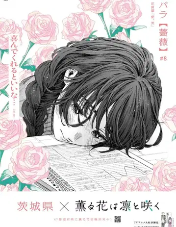 전면 광고 아사히 신문 10/9 이바라키현 와구리 카오루코