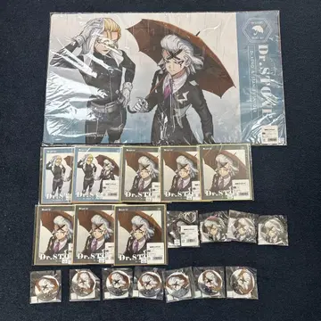 Dr.STONE DMM 스크래치 레이니 데이 제노 스탠리 20점