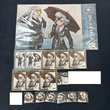 Dr.STONE DMM 스크래치 레이니 데이 제노 스탠리 16점