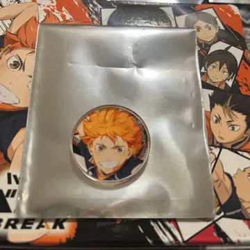 히나타 쇼요 아크릴 마커