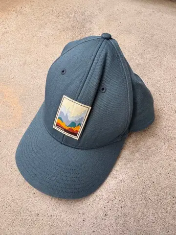 빈티지 파타고니아 캡