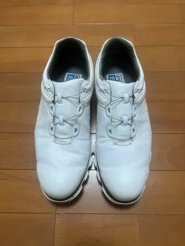 FootJoy 골프화 남성용