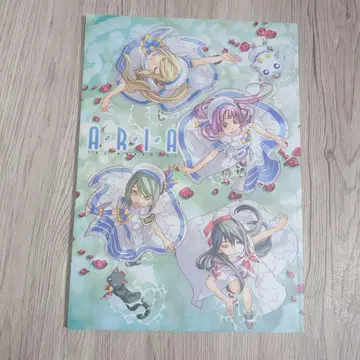 A.R.I.A. 팜플렛
