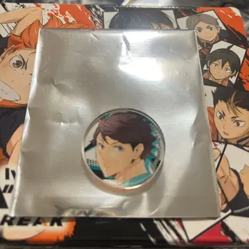 오이카와 토오루 아크릴 마커