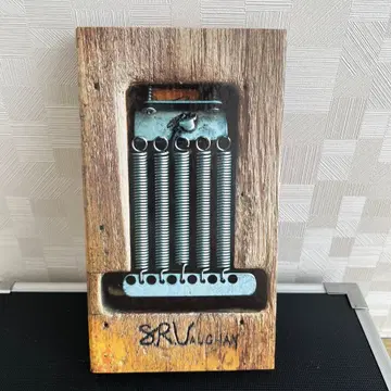 Stevie Ray Vaughan CD/DVD