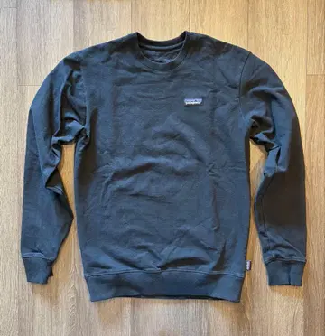 Patagonia P-6 라벨 업라이저 크루 스웨트 셔츠