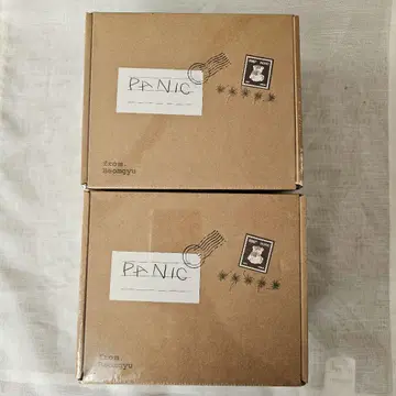 [ TXT ] 범규 PANIC 미개봉품