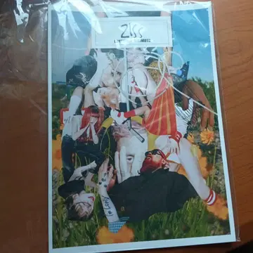 2ISS 아트 잡지 진 레어