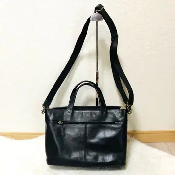 Dakota 프린세스 백