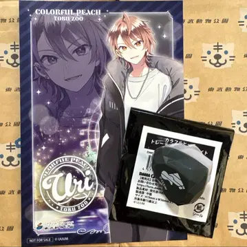 컬러풀 피치 우리 씨 반지 라이트