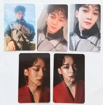 EXO 첸 obsession 트레이딩 카드 5장